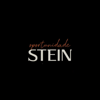 SteinInvestimentos  GIF