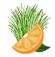 Orange Fruit Sticker by Each and Every