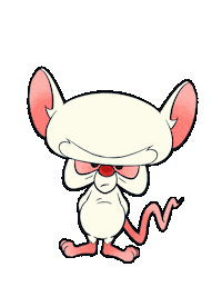 Pinky And The Brain Sticker