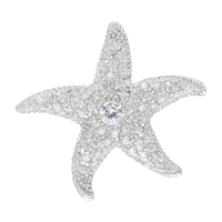 Star Brooch Sticker by Bellia WORLD