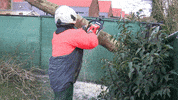 BrandweerzoneCentrum storm bwzc GIF