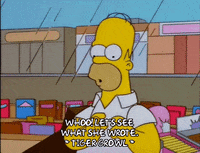 homer simpson GIF
