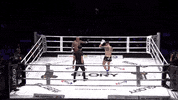 Punch Hype GIF by GLORY Kickboxing