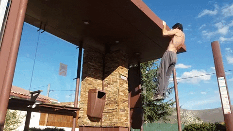 shupshup giphygifmaker GIF