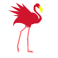 long legs flamingo Sticker by Huawei Mobile Deutschland