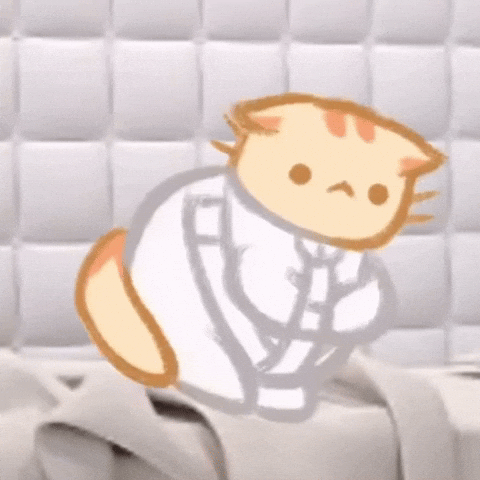 Cin_cook cat white orange silly GIF
