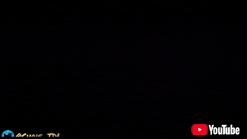 Youtube Video GIF by Chris TDL
