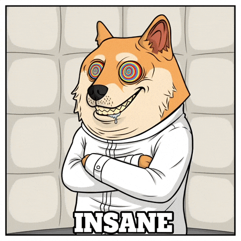 Going Crazy Shiba Inu GIF by Doge Pound