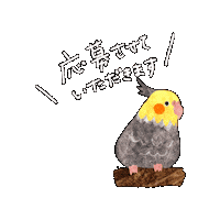 Ayanariai Sticker