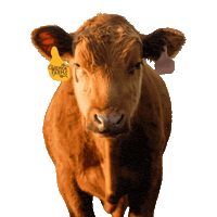 Sticker by Widnor Farms