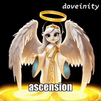 Divine GIF by thedoveinity