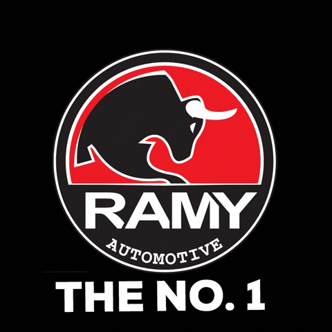 Ramygifs GIF by RAMY Automotive