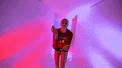 Wisconsin Volleyball GIF by Wisconsin Badgers