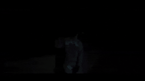 Panda GIF by Protect