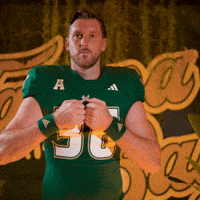 College Football GIF by USF Athletics