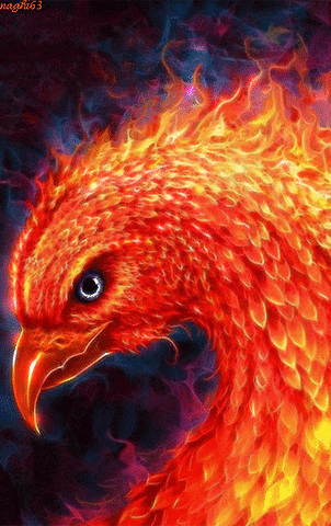 phoenix GIF