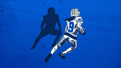 Dallas Cowboys Football GIF