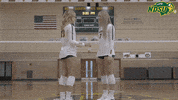 Volleyball Bison GIF by NDSU Athletics