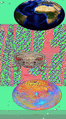 Stevesartandcacti glitch trippy weird animal GIF