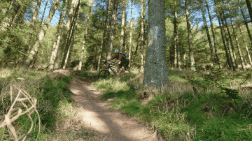 mattoutandabout giphygifmaker giphygifmakermobile GIF