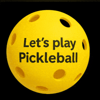 Pickleball GIF