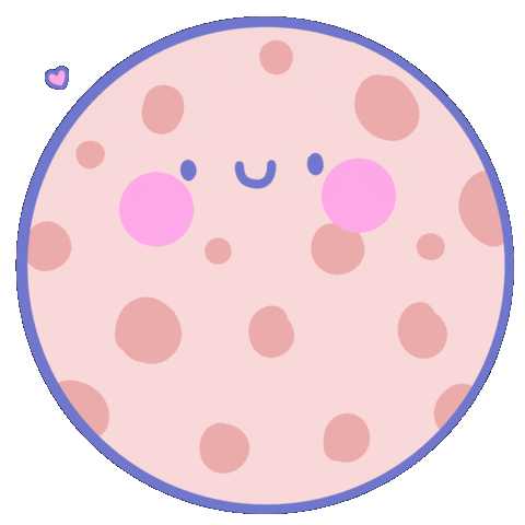 Cookie Biscuit Sticker by paulapastela