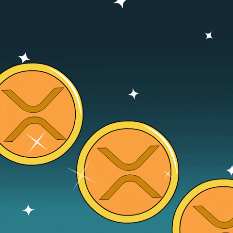 Crypto Penguin GIF by Pudgy Memez