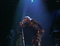 Steven Tyler 1970S GIF by Aerosmith