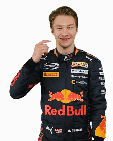 Formula 3 Dennis GIF by Prema Team