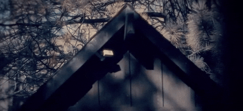 music video bahari GIF by Interscope Records