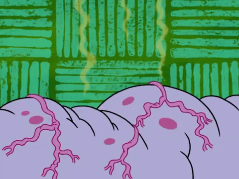 season 6 episode 21 GIF by SpongeBob SquarePants