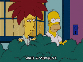 homer simpson GIF