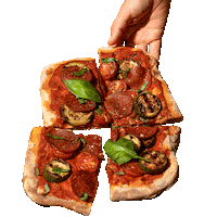 Pizza Vegan Sticker by Billie Green