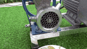 ExperimenMeatGrinder funny colorful meat eggs GIF