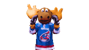 i can see you marty moose Sticker by Newcastle Northstars