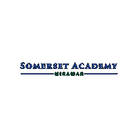Academica Schools Sticker by Academica