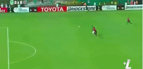 giphygifgrabber GIF