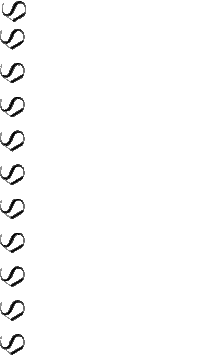 Frame Backdrop Sticker by Kalli's Beauty Center