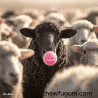 Black Sheep Vibe GIF by Fugum