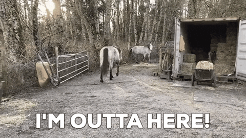 JiniP giphygifmaker bye go out GIF