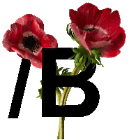 Flowers Boyz Sticker