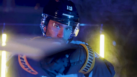 Hockey Echl GIF by Toledo Walleye