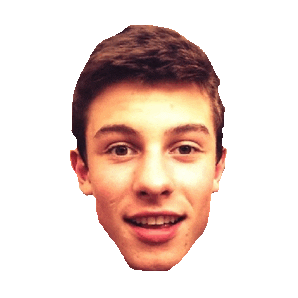 shawn mendes STICKER by imoji