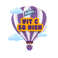 Vitamin C Blackcurrant Sticker by Scott's Malaysia