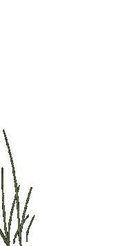 Flower Sticker