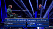 Wwtbams8E2 GIF by Stellify Media