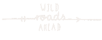Adventure Time Arrow Sticker