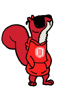Squirrel Sticker by Bradley University