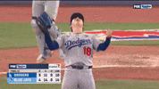 Celebrate World Series GIF by MLB