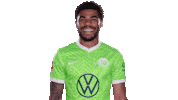 Football Lol Sticker by VfL Wolfsburg